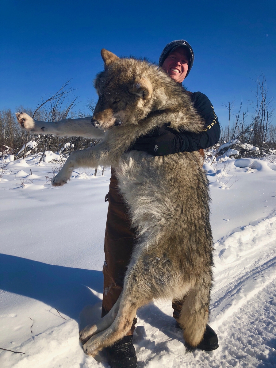 Wolf Hunts